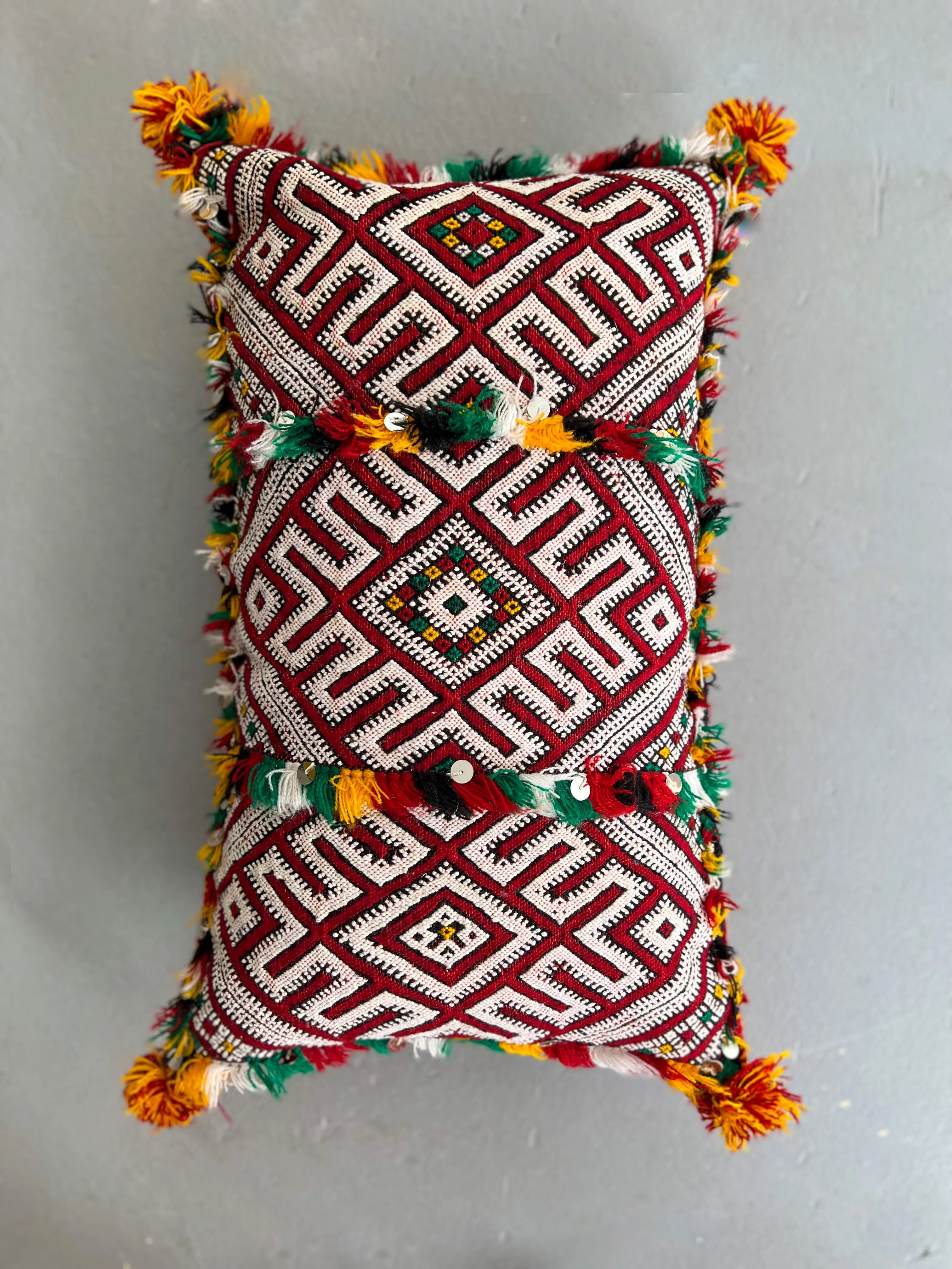 Ain Leuh Lumbar Pillow - Lion Paw, Sequins