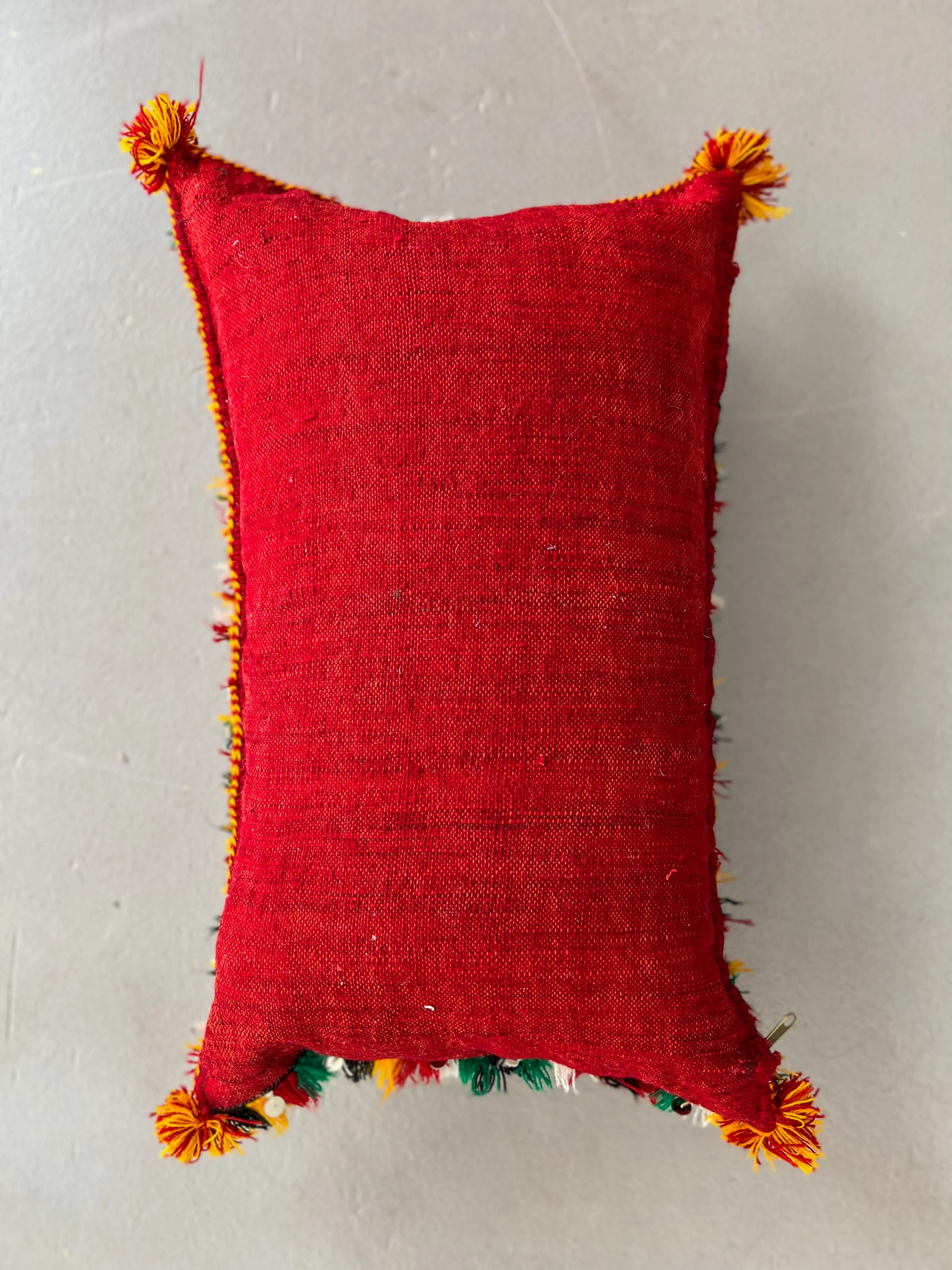 Ain Leuh Lumbar Pillow - Lion Paw, Sequins