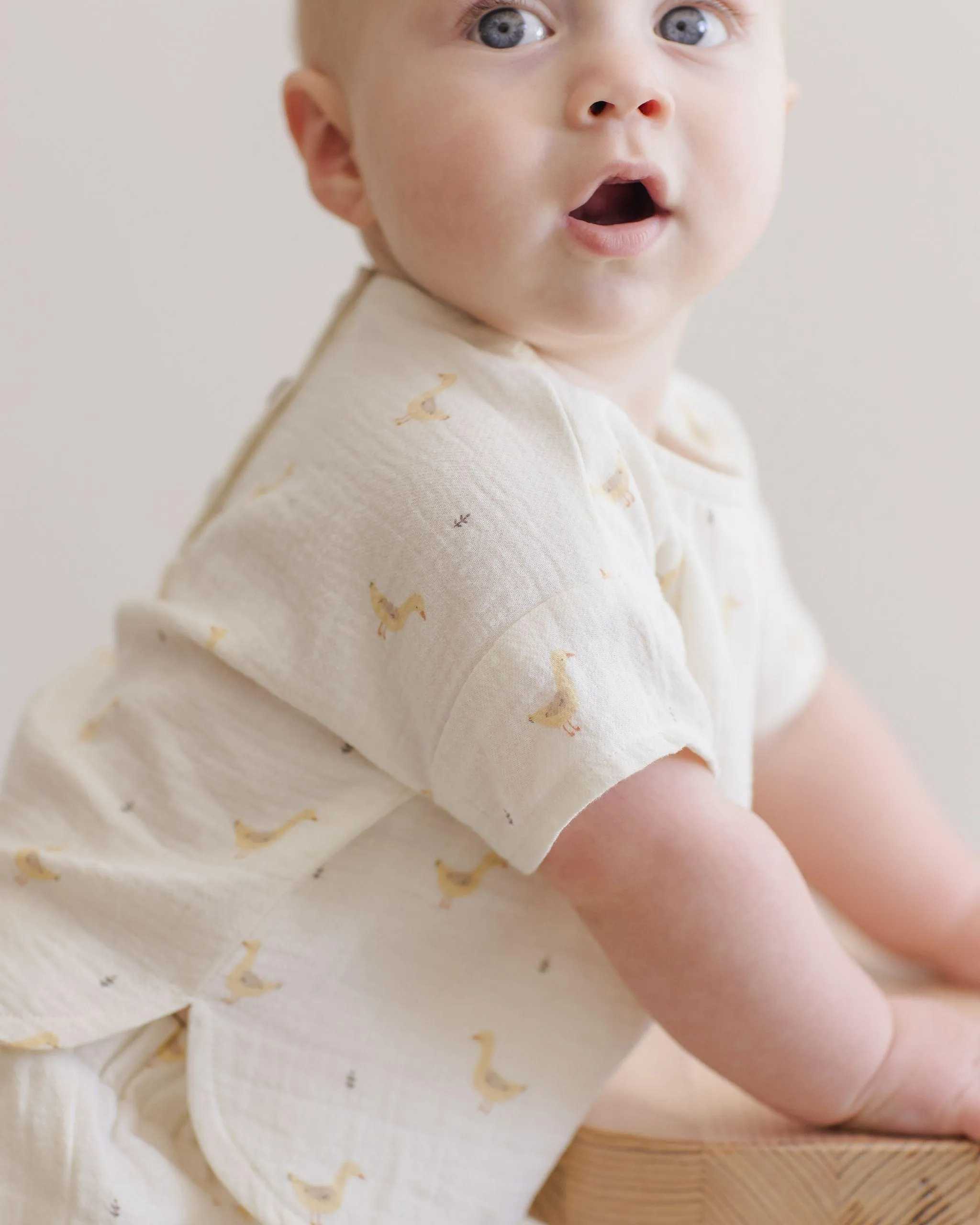 Baby Boy Sets| Woven Boxy Top and Short Set- Geese | Quincy Mae
