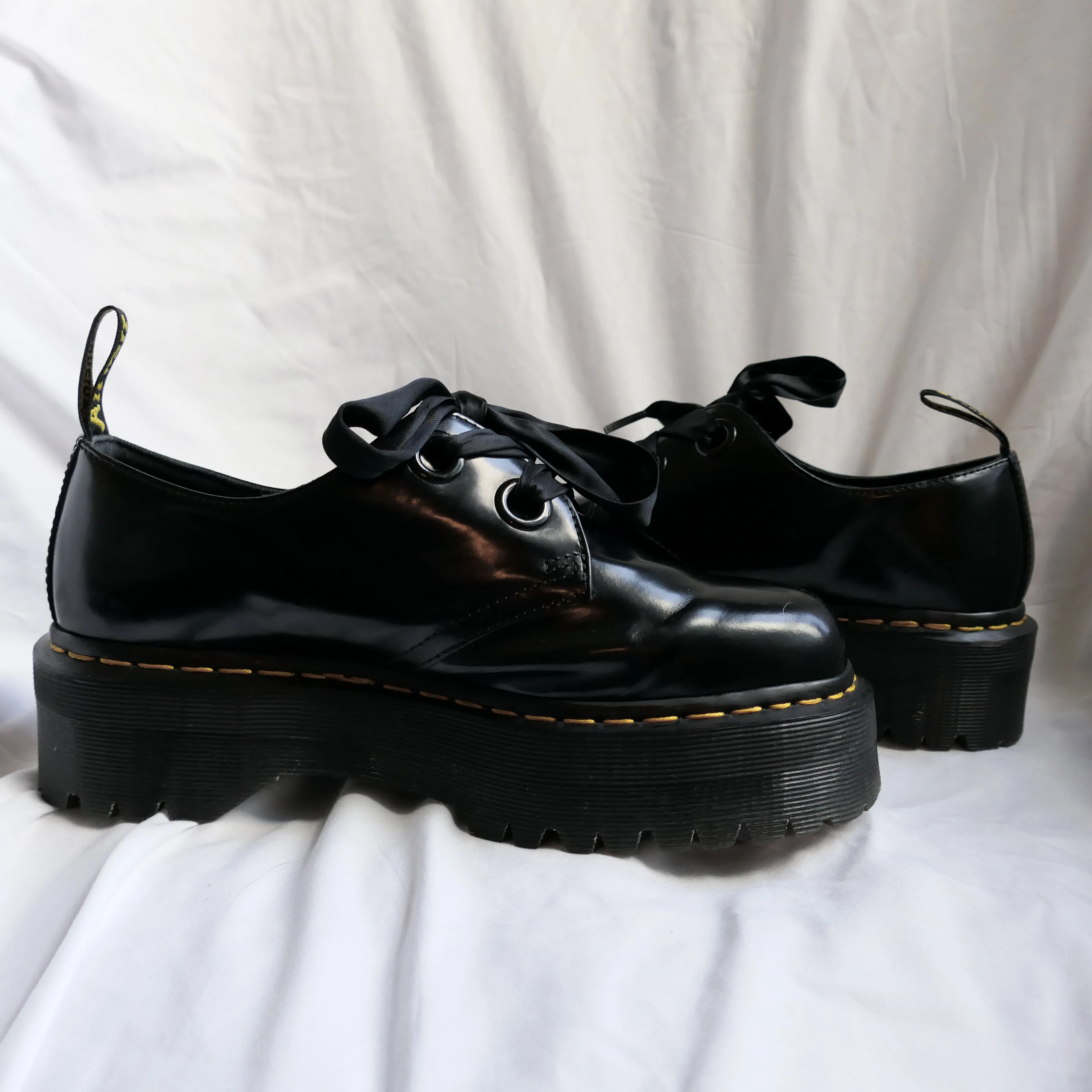Black Holly
