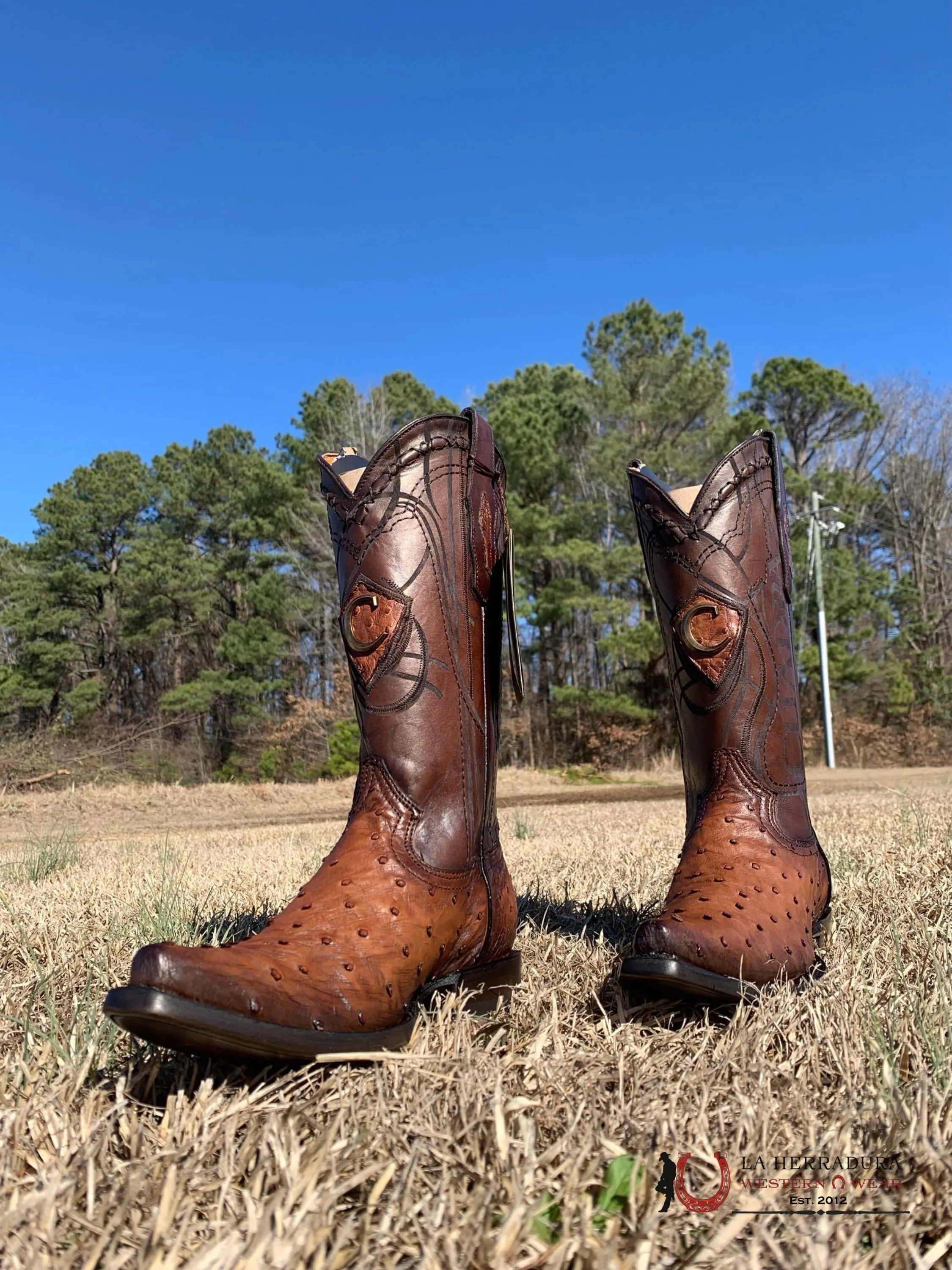 CUADRA BOOTS OSTRICH MORONI CASTAÑO LASER & WOVEN SNIP TOE