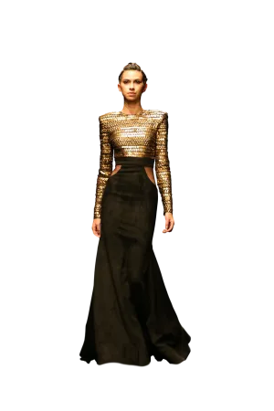 CYGNUS Look 7
