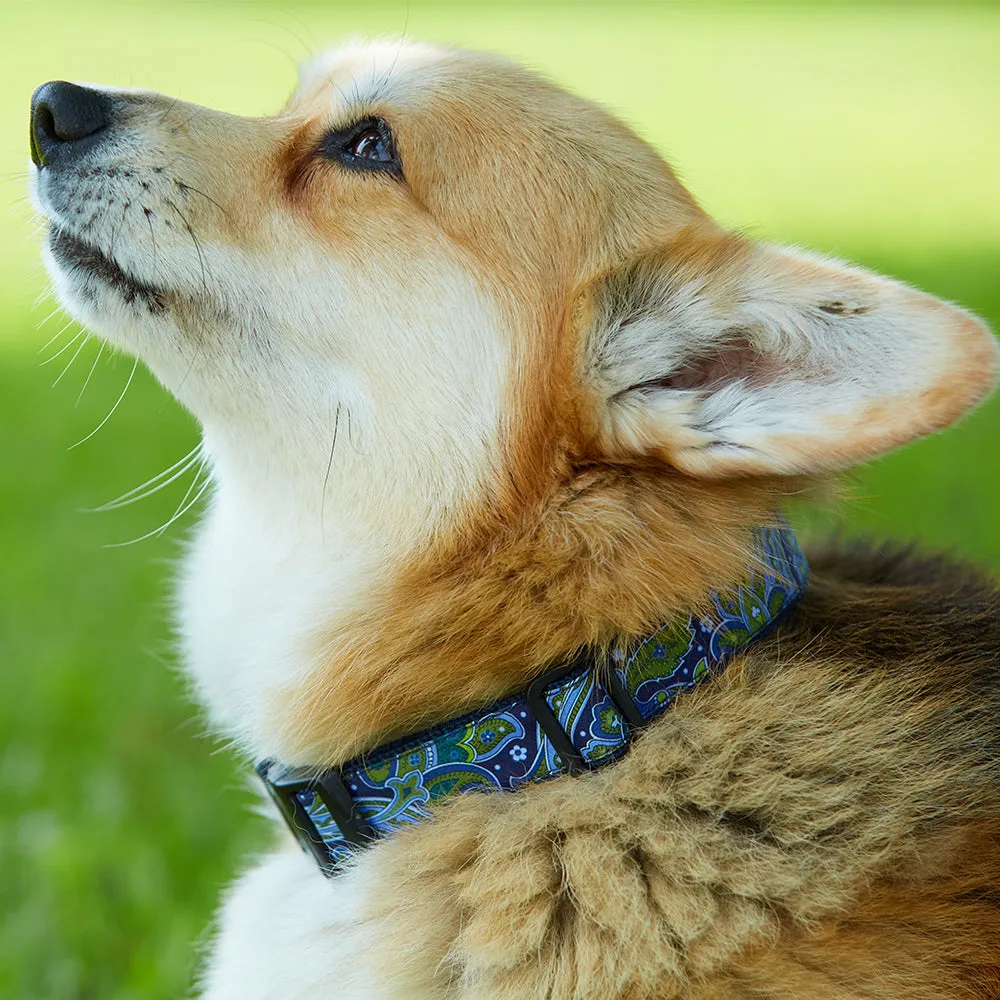 Green Valley - Dog Collar