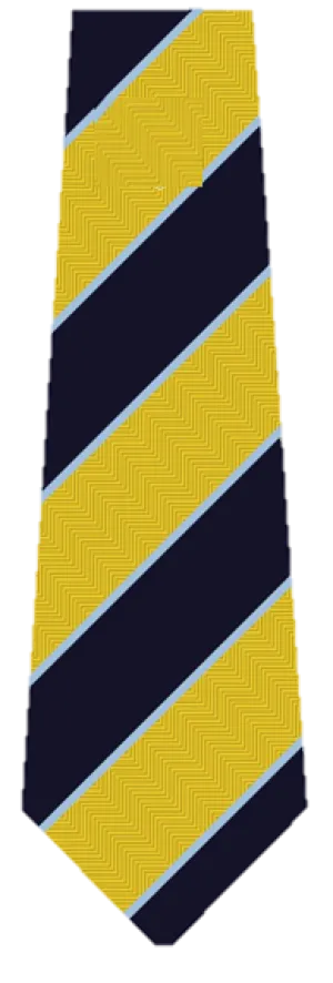 Guiseley School Clip on Tie (All Years)