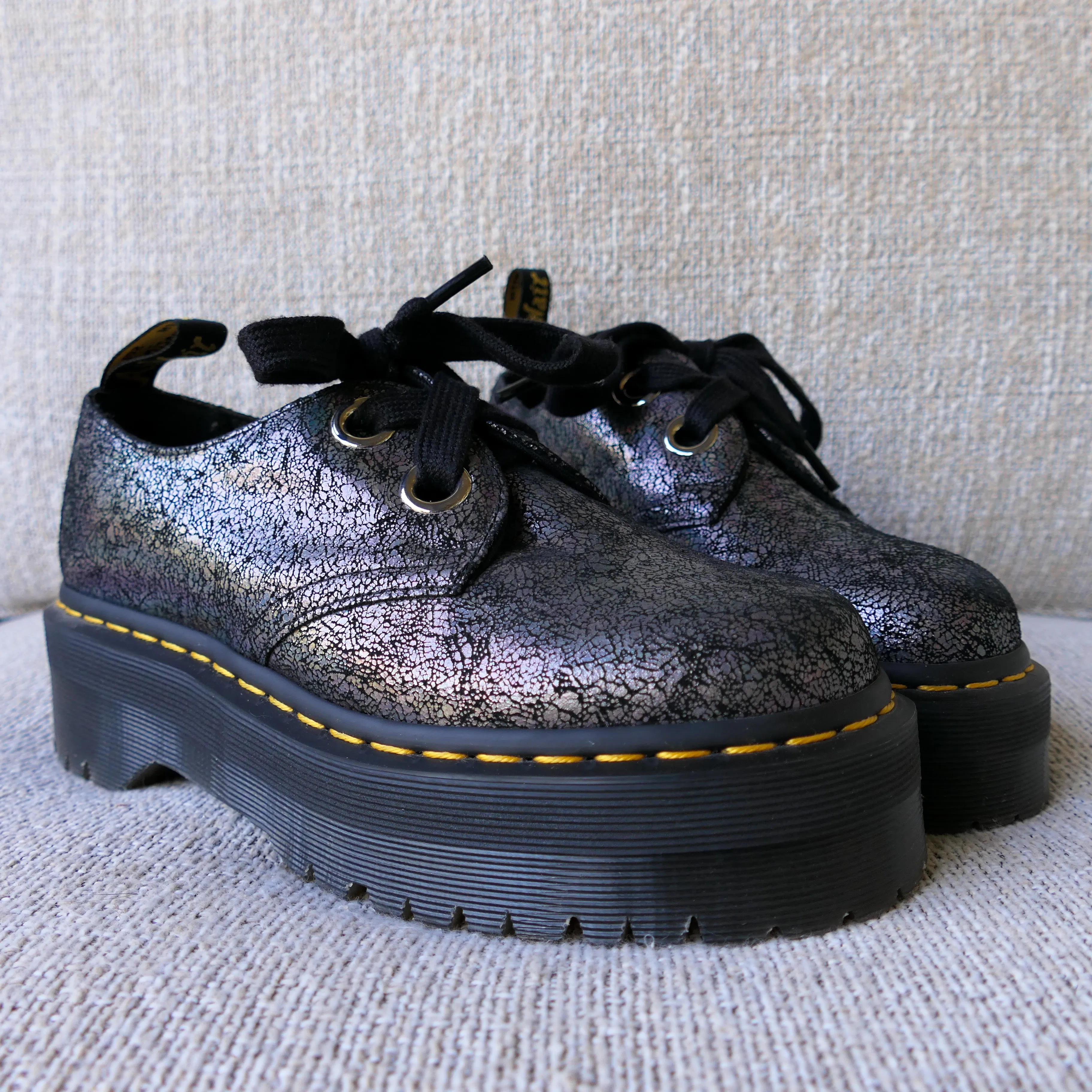 Gunmetal Holly