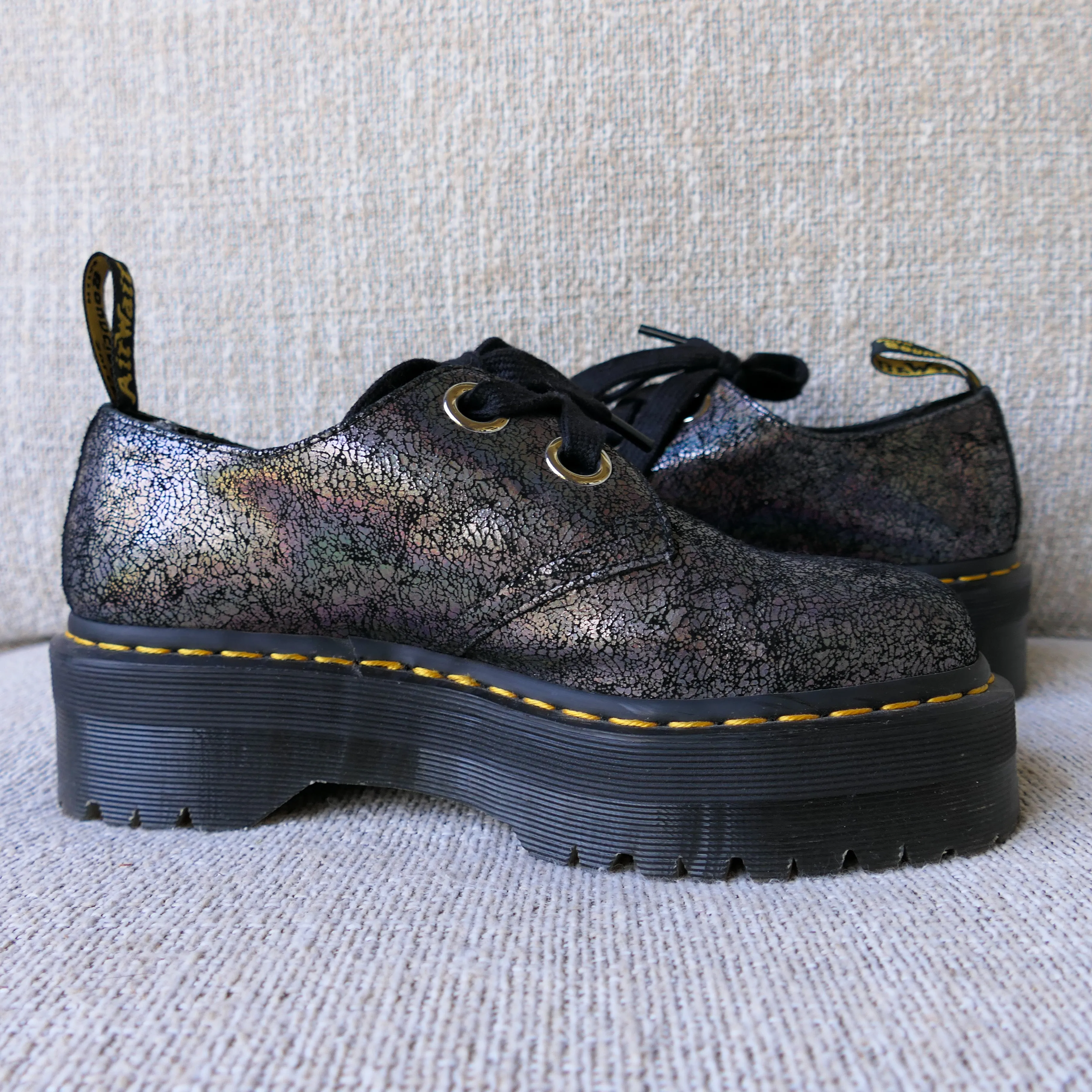 Gunmetal Holly
