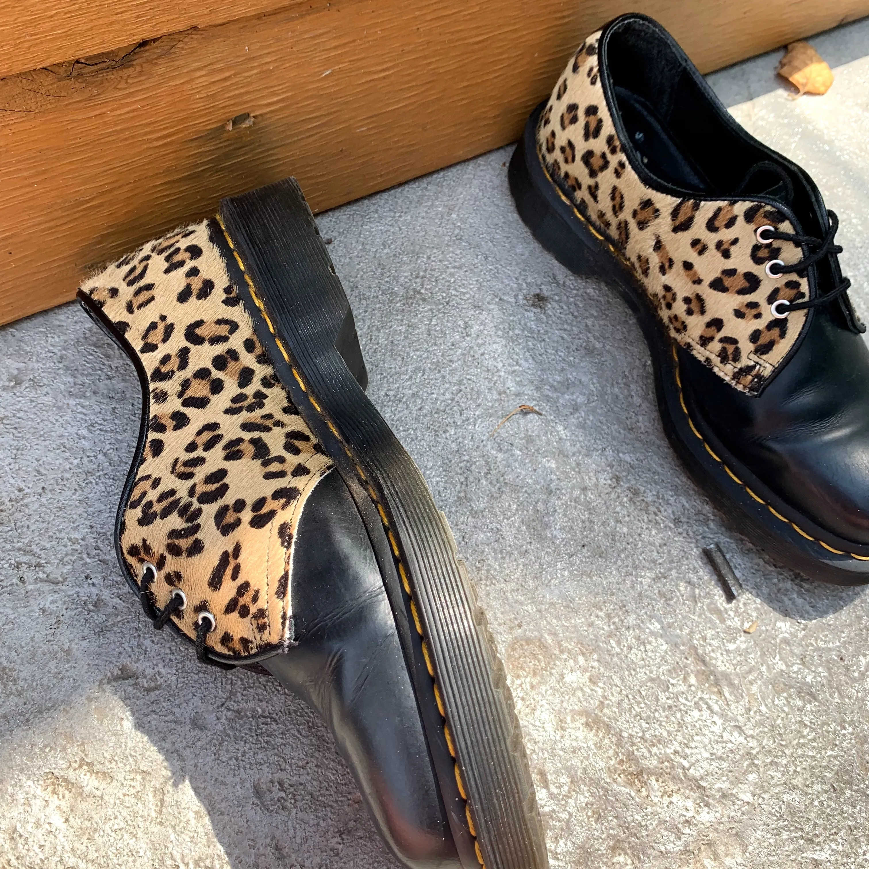 Leopard 1461 Oxford