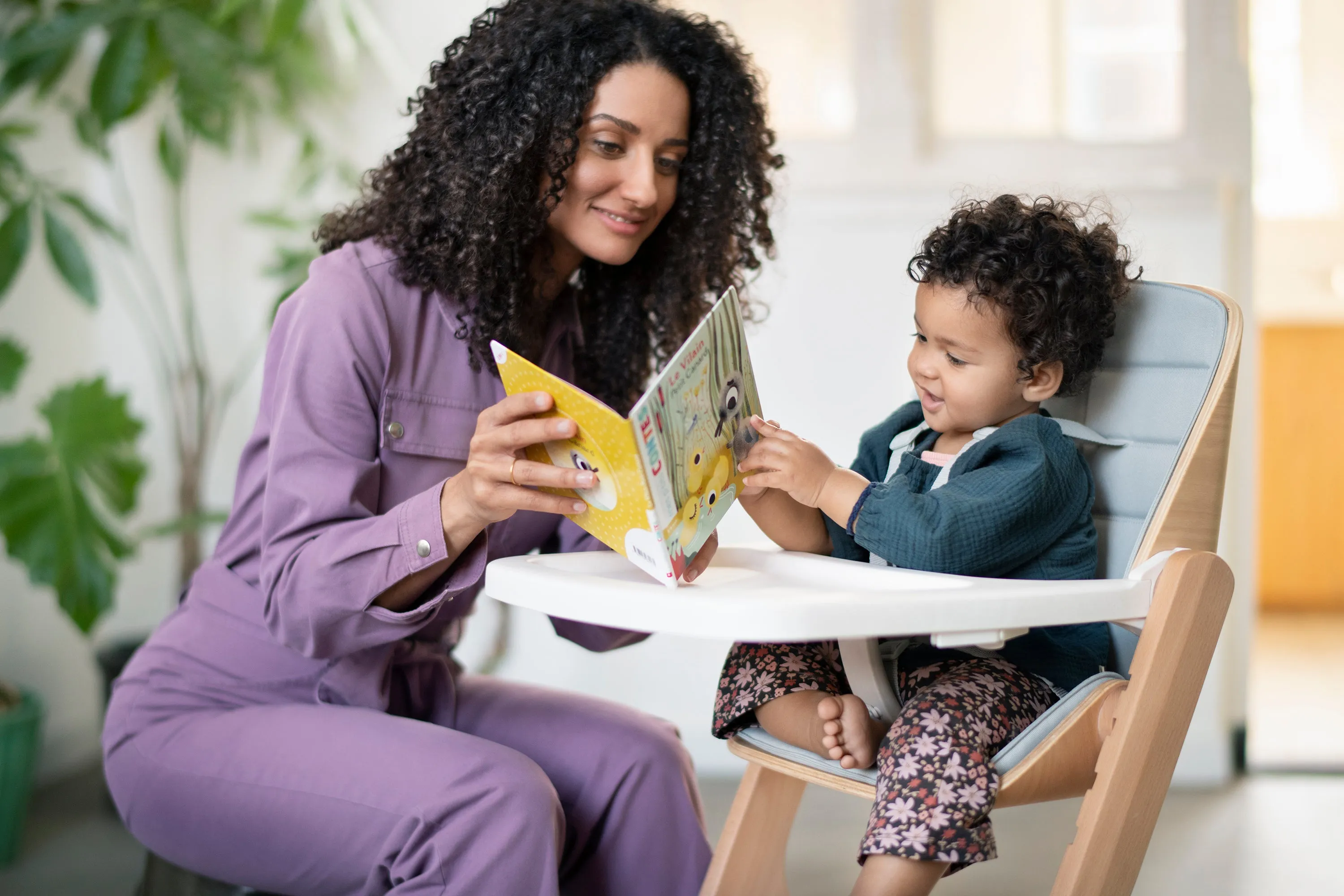 Maxi Cosi Nesta Complete High Chair