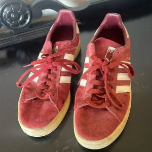 Men 9.5 US  Adidas Originals Campus Leather Suede Bur Dy Bz0087
