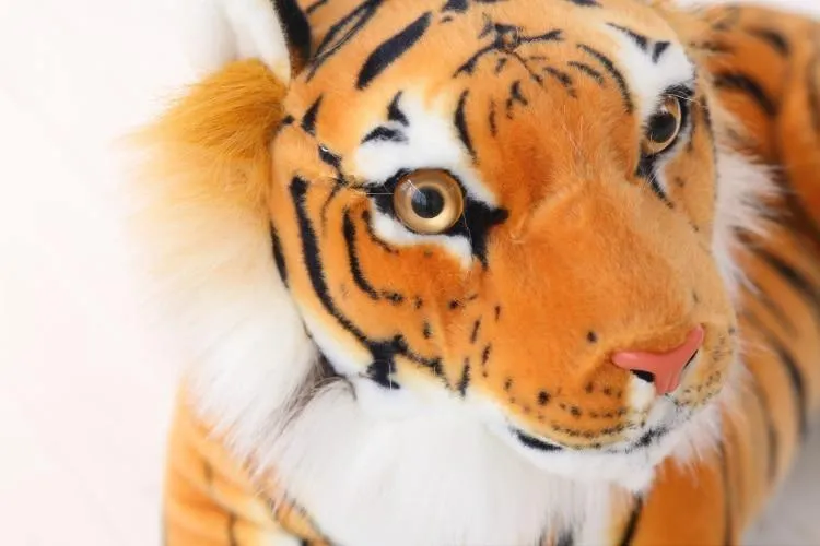 Soft Giant Tiger