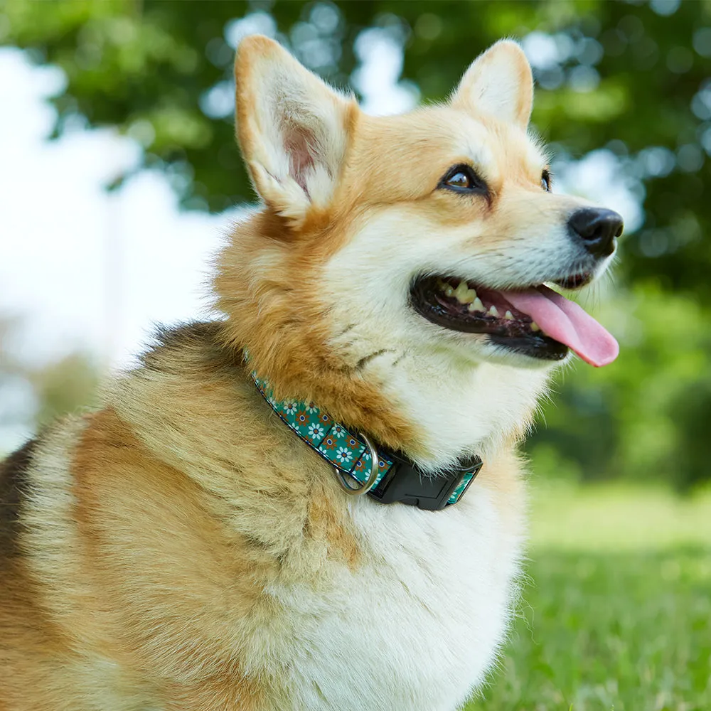 Somerville Rose - Dog Collar