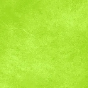 Suede Brights Lime Green