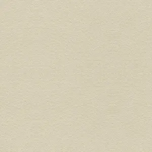 Suede Texture-Stone